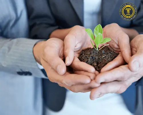 Hoạt động Luật sư 1